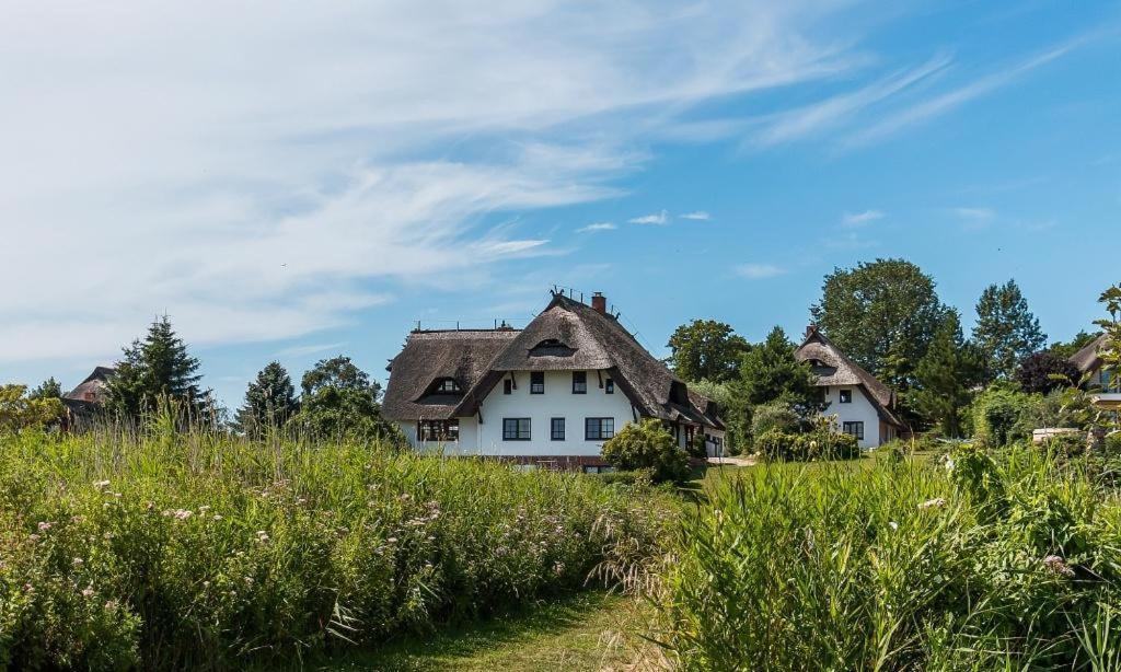 Haus Am Bodden 03 Apartment อาเรนสโฮพ ภายนอก รูปภาพ